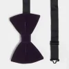 Design Bow Tie In Dark Velvet