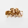 Design Hair Clip Claw With Double Prongs In Pale Tort