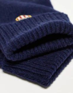 Gant Wool Gloves In Navy With Shield Logo